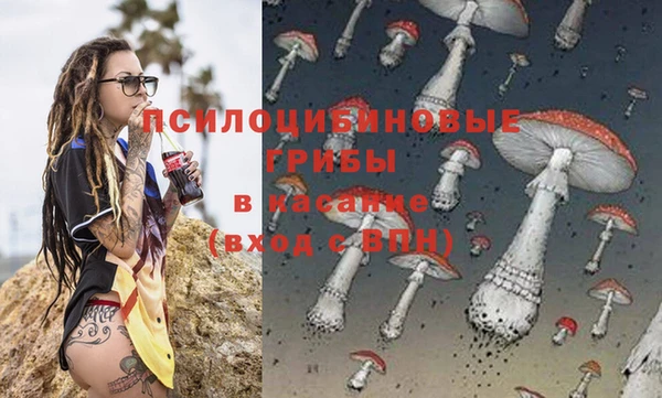 таблы Ладушкин