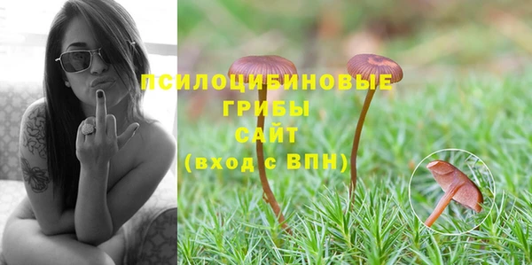 таблы Ладушкин