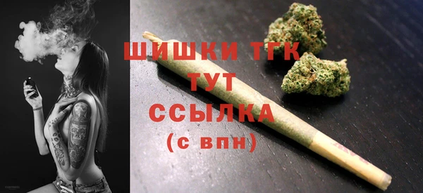 индика Кукмор